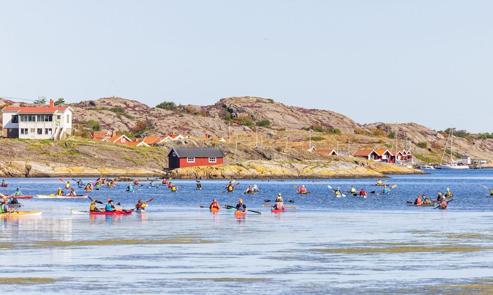 camping-stocken camping